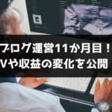 【ブログ運営11ヵ月目】PVや収益の報告！あと、2020年はもう日本にいないかもしれない